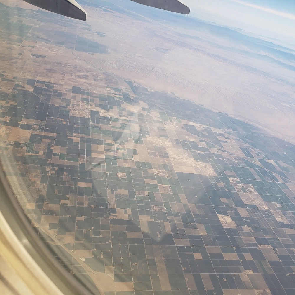 Meet your Posher, Celida